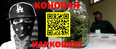 крисы Ирбит