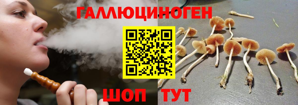 Дзержинский  Псилоцибиновые грибы мухоморы  Вход с VPN 
